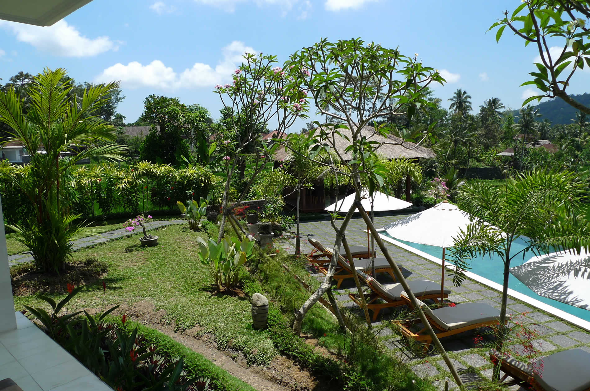 Shantiasa Bali Pool View